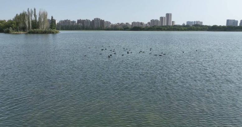 PG电子平台:银川:河湖治理的生态答卷与民生温度(图2)