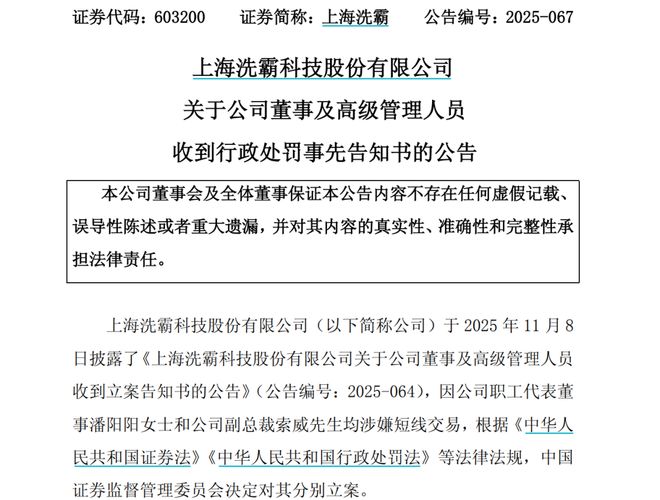 涉嫌短线交易!这一大牛股高管被罚!(图1)