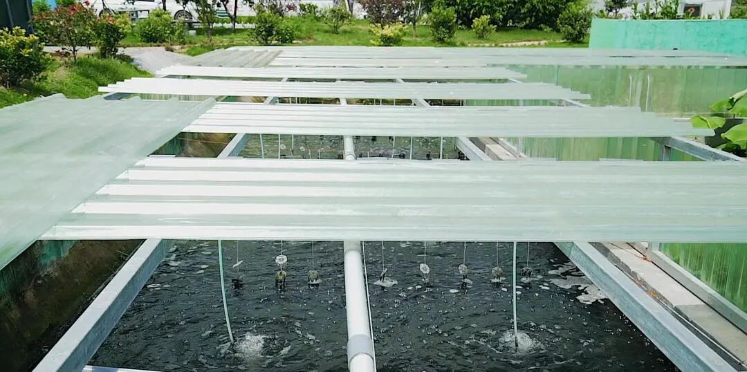 108個“碳賬本”管出“零廢村庄”(图2)